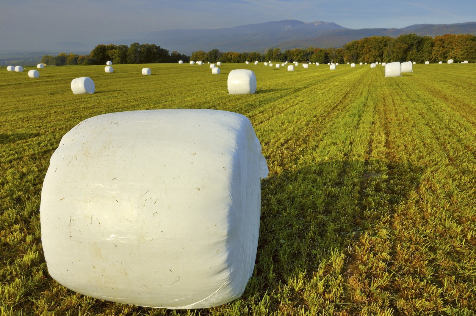 Agricultural stretch film for silage